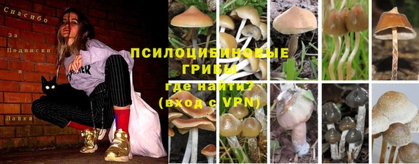ешки Сафоново