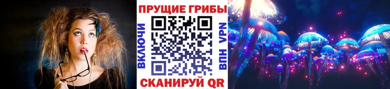 Псилоцибиновые грибы мицелий  где купить   Болотное 