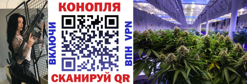 Шишки марихуана SATIVA & INDICA  цены наркотик  Болотное 